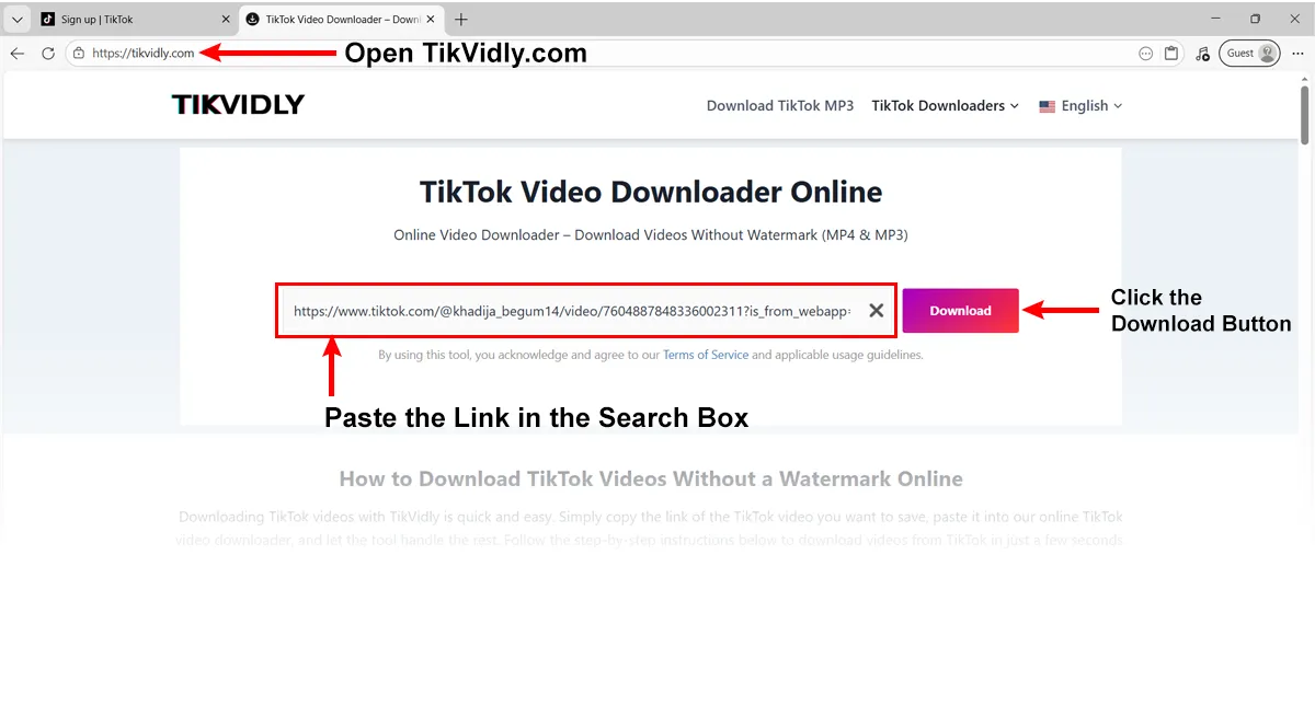 Скачивание видео из TikTok на ПК — вставьте URL-адрес TikTok в строку поиска TikVidly в браузере Chrome