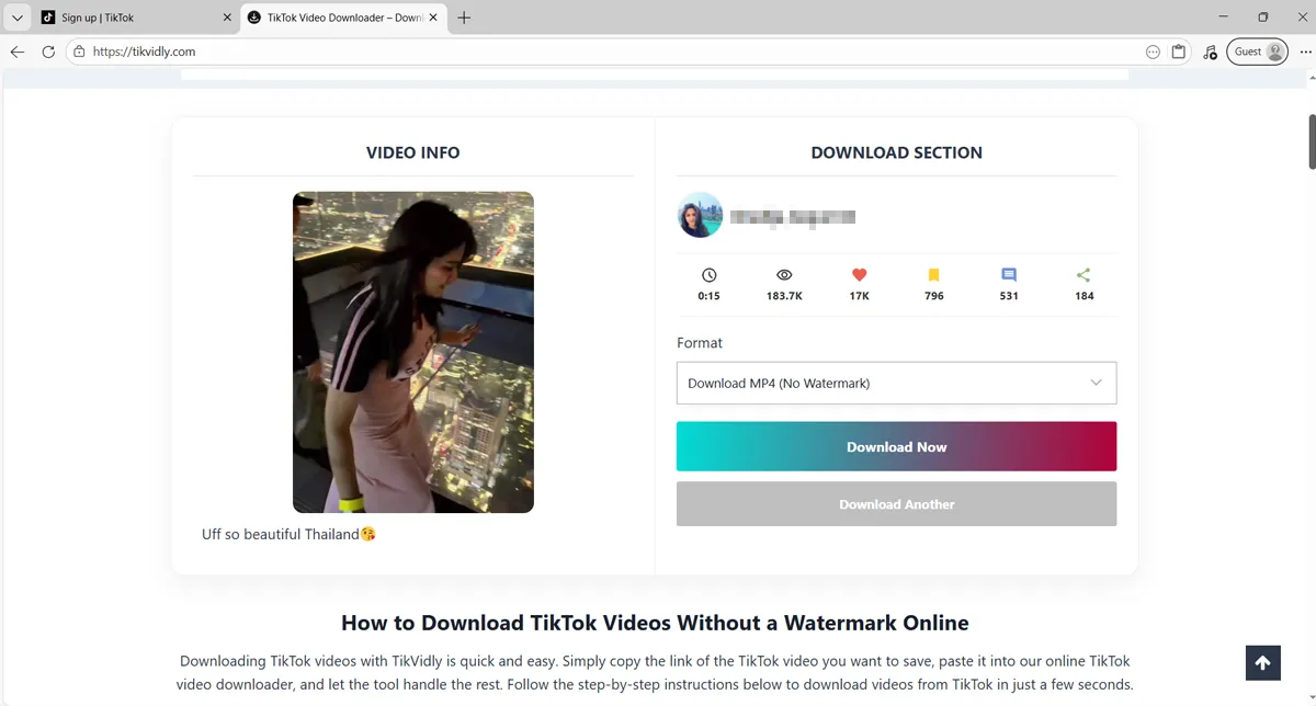 Скачивание видео из TikTok на ПК — вставьте URL-адрес TikTok в строку поиска TikVidly в браузере Chrome