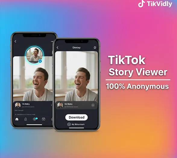 Visor de historias de TikTok